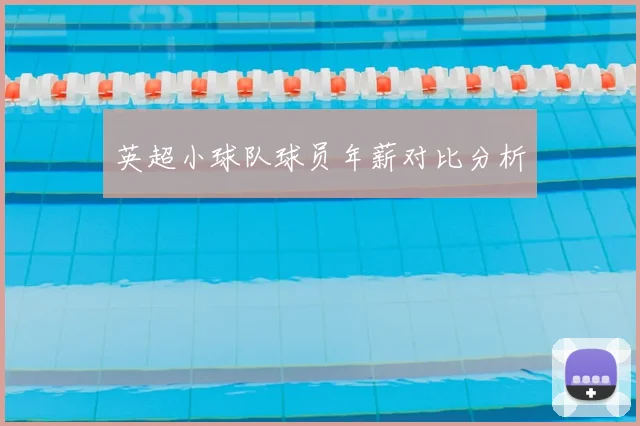 英超小球队球员年薪对比分析