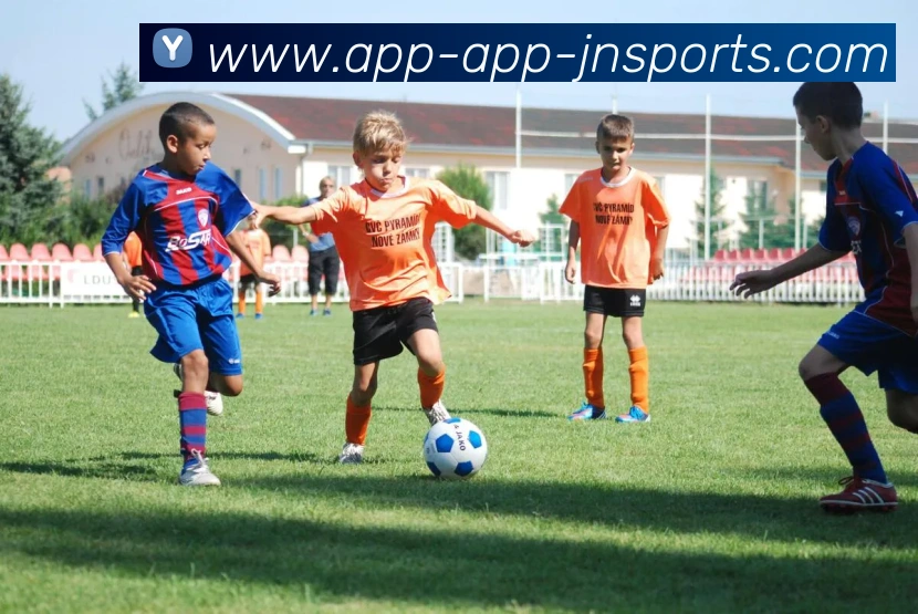 App Interface Preview